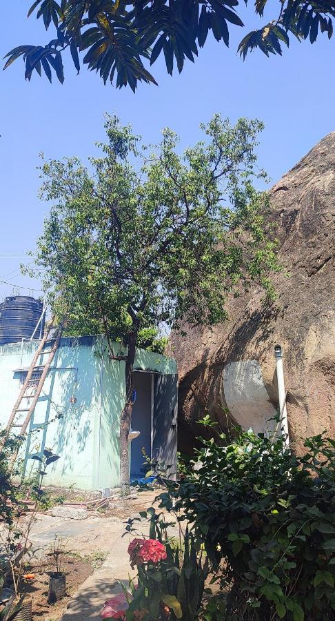 Hearthspace Hampi - Small Home, A Low-Impact Backpackers Hostel ภายนอก รูปภาพ
