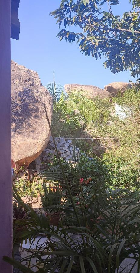 Hearthspace Hampi - Small Home, A Low-Impact Backpackers Hostel ภายนอก รูปภาพ