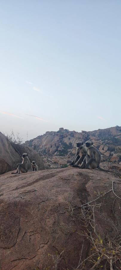 Hearthspace Hampi - Small Home, A Low-Impact Backpackers Hostel ภายนอก รูปภาพ